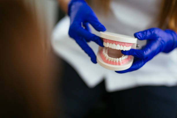 Best Dental Exams and Cleanings  in Estero, FL